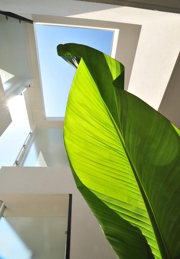 Hotel Eden Park Pau Est, Avec Piscine מראה חיצוני תמונה